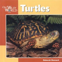 Turtles - Dennard, Deborah