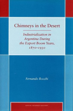 Chimneys in the Desert - Rocchi, Fernando