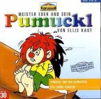 Pumuckl und der Schnupfen / Pumuckl und das grüne Gemälde, 1 Audio-CD