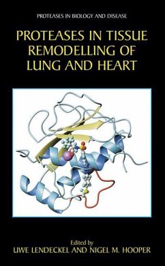 Proteases in Tissue Remodelling of Lung and Heart - Lendeckel, Uwe / Hooper, Nigel M. (Hgg.)