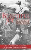 Beautiful Joe (Paperback)