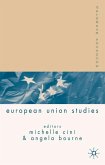 Palgrave Advances in European Union Studies