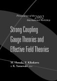 Strong Coupling Gauge Theories and Effective Field Theories, Proceedings of the 2002 International Workshop