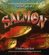 Salmon - Kalman, Bobbie
