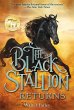 The Black Stallion Returns - Bild 1
