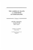 The American Slave
