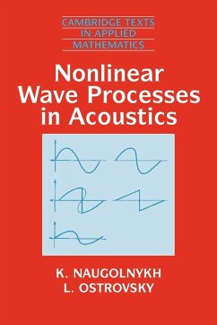 Nonlinear Wave Processes in Acoustics - Naugolnykh, K. A.