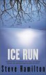 Ice Run - Bild 1