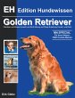 Golden Retriever - Bild 1