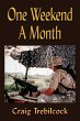 One Weekend a Month - Bild 1