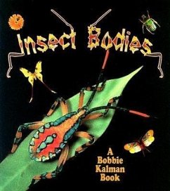 Insect Bodies - Aloian, Molly