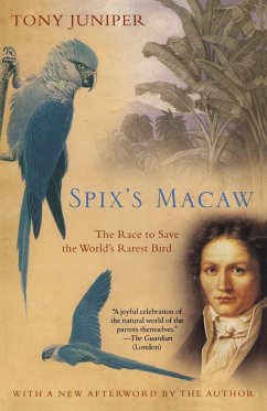 Spix's Macaw - Juniper, Tony