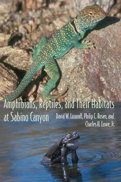 Amphibians, Reptiles, and Their Habitats at Sabino Canyon - Lazaroff, David W.; Rosen, Philip C.; Lowe, Charles H. Jr.