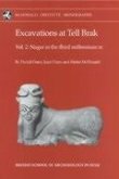 Excavations at Tell Brak: Volume 2 - Nagar in the 3rd Millennium BC