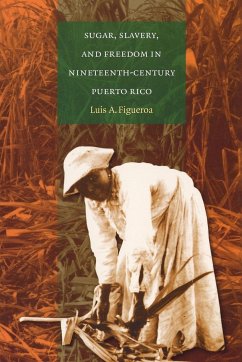 Sugar, Slavery, and Freedom in Nineteenth-Century Puerto Rico