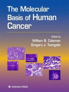 The Molecular Basis of Human Cancer - Coleman, William B. / Tsongalis, Gregory J. (eds.)