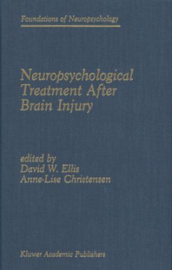 Neuropsychological Treatment After Brain Injury - Ellis, David W. / Christensen, Anne-Lise (Hgg.)