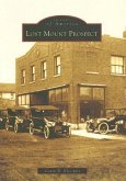 Lost Mount Prospect
