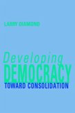 Developing Democracy