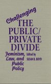 Challenging the Public/Private Divide