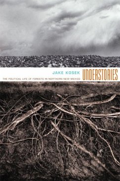 Understories - Kosek, Jake