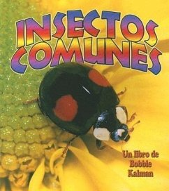 Insectos Comunes (Everyday Insects) - Kalman, Bobbie