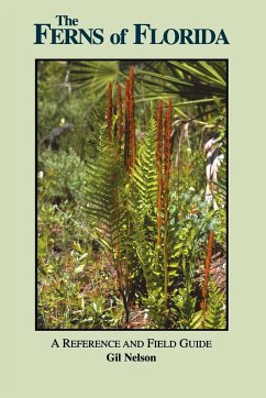 The Ferns of Florida - Nelson, Gil