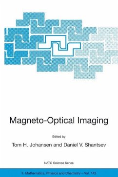 Magneto-Optical Imaging - Johansen, Tom H. / Shantsev, Daniel V. (Hgg.)