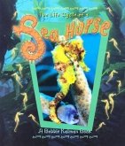 Sea Horse