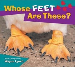 Whose Feet Are These? - Lynch, Wayne