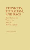 Ethnicity, Pluralism, and Race