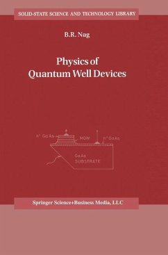 Physics of Quantum Well Devices - Nag, B. R.