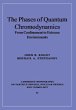 Phases Quantum Chromodynamics - Bild 1