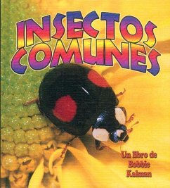 Insectos Comunes (Everyday Insects) - Kalman, Bobbie