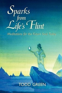 Sparks from Life's Flint--Meditations for the Future Soul, Today - Green, Todd