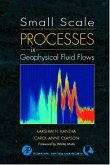 Small Scale Processes in Geophysical Fluid Flows