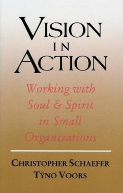 Vision in Action - Schaefer, Christopher; Voors, Tijno