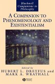 Companion to Phenomenology