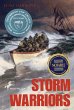 Storm Warriors - Bild 1