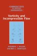 Vorticity and Incompressible Flow - Bild 1