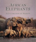 African Elephants: The Truth about Opportunity, Taxes, and Wealth in America