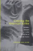 Creating the American Junkie