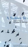 A Sudden Sky