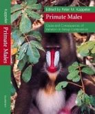 Primate Males