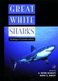 Great White Sharks Great White Sharks