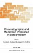 Chromatographic and Membrane Processes... - Bild 1