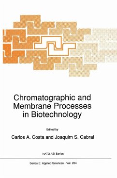 Chromatographic and Membrane Processes in Biotechnology - NATO Advanced Study Institute on Chromatography and Membrane Processes in Biotechnology