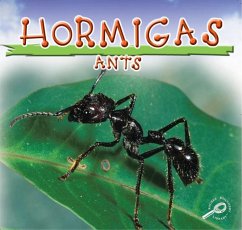 Cover Hormigas