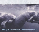 Mysterious Manatees