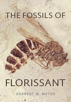 The Fossils of Florissant - Meyer, Herbert W.